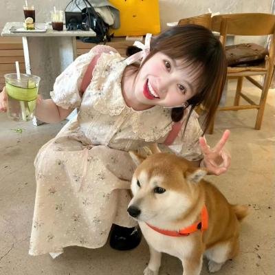 潮游记 在线观看